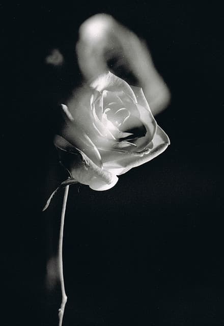image-0