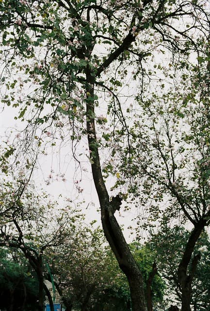 Community photo 6 shot on Ultramax 400