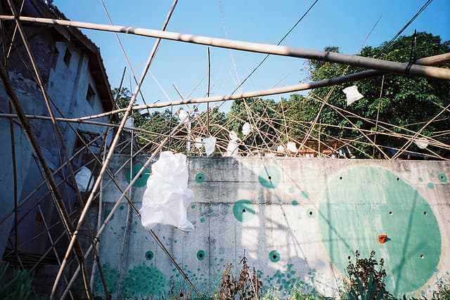 Community photo 6 shot on Pro 400H