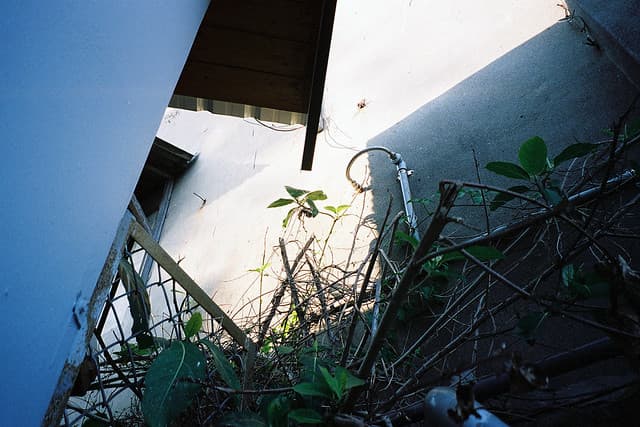 Community photo 5 shot on Pro 400H