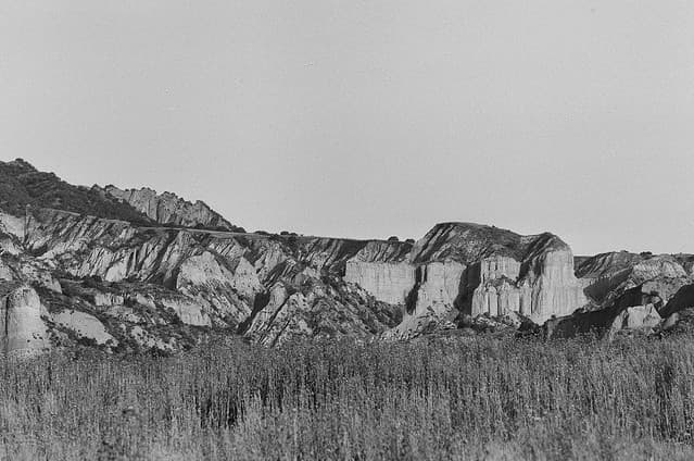 Community photo 9 shot on Kentmere 100