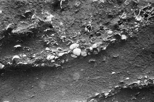 image-0