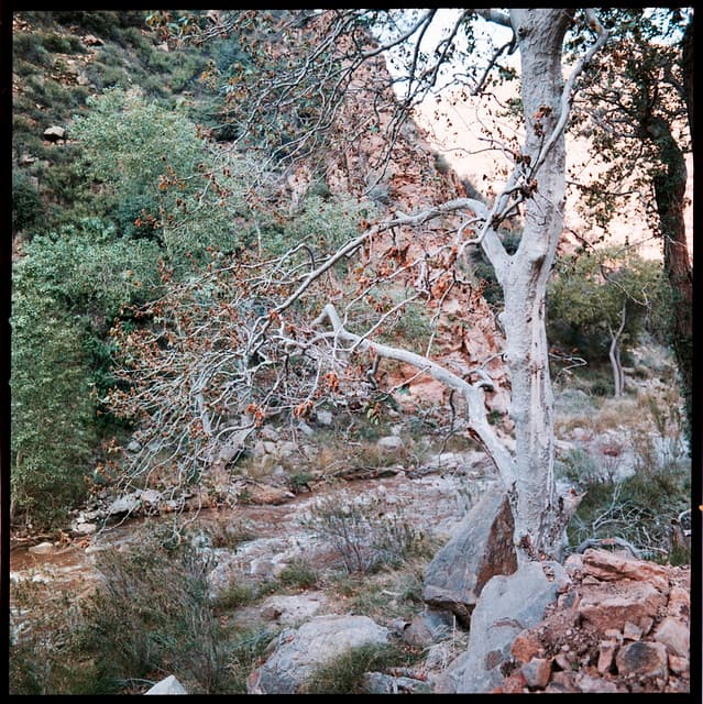 Community photo 5 shot on CrossBird
