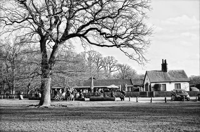 Community photo 7 shot on Blackbird