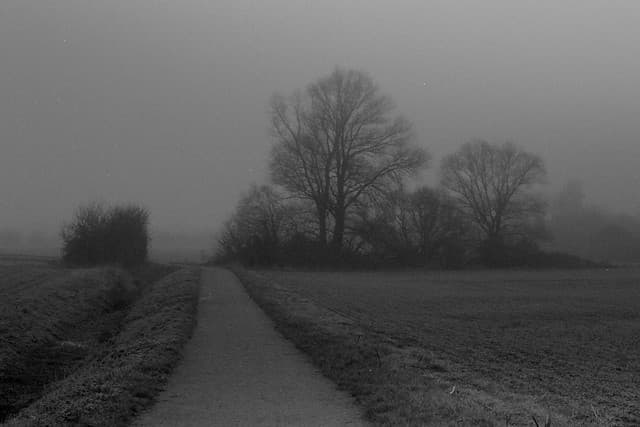 Community photo 5 shot on Kentmere 400