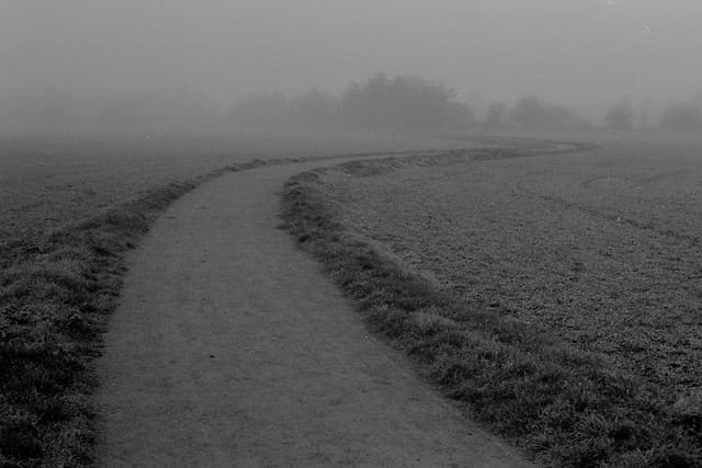 Community photo 8 shot on Kentmere 400