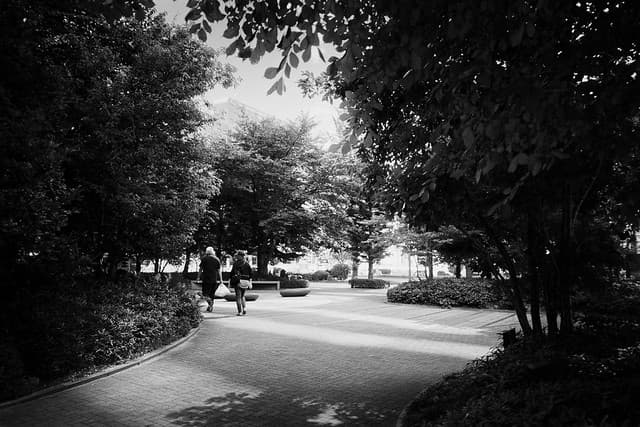Community photo 9 shot on FujiColor 100