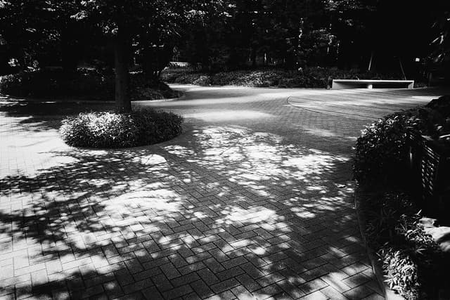 Community photo 7 shot on FujiColor 100