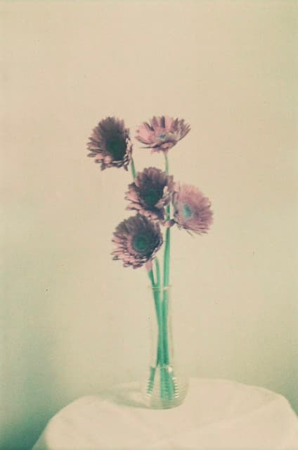 Community photo 9 shot on LomoChrome Turquoise