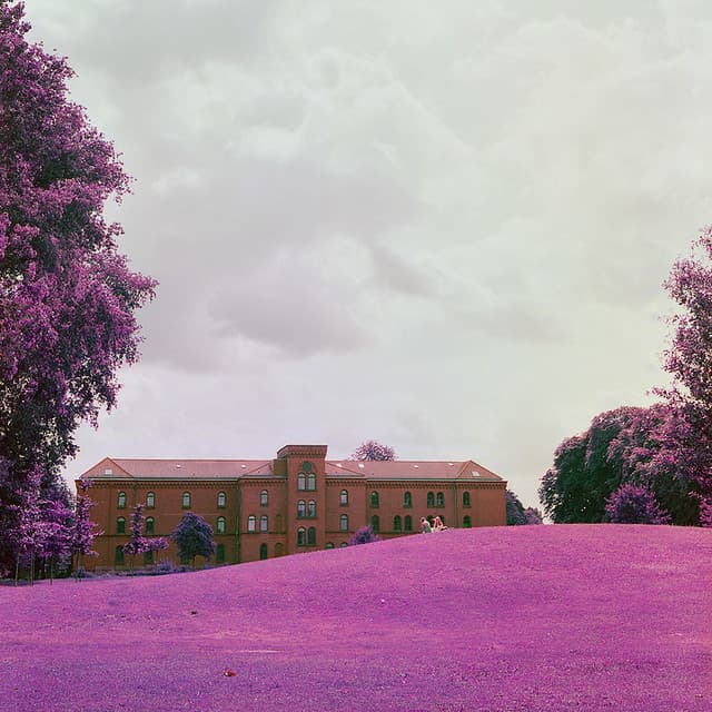 Community photo 9 shot on LomoChrome Purple