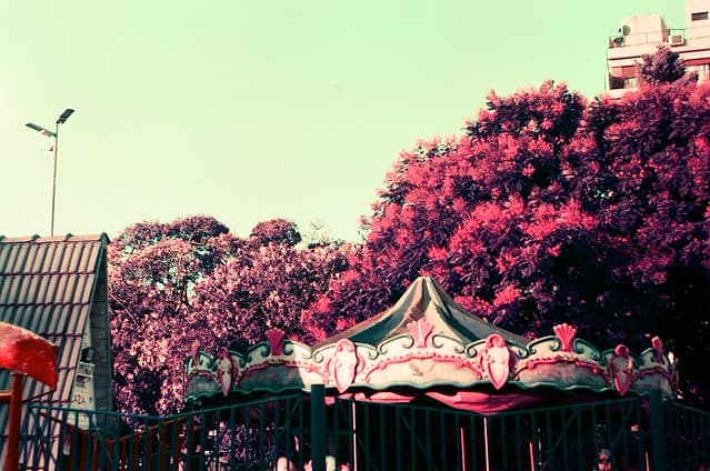 Community photo 6 shot on LomoChrome Purple