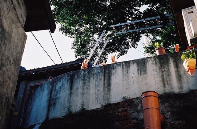 Community photo 4 shot on Portra 400