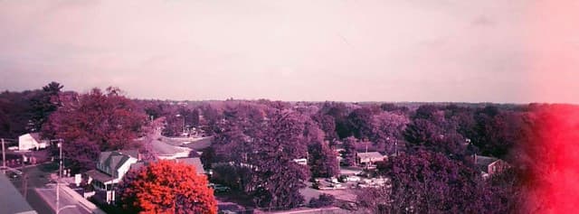 Community photo 2 shot on LomoChrome Purple