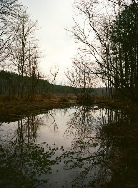 Community photo 9 shot on Portra 400