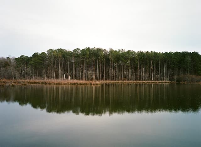 Community photo 8 shot on Portra 400