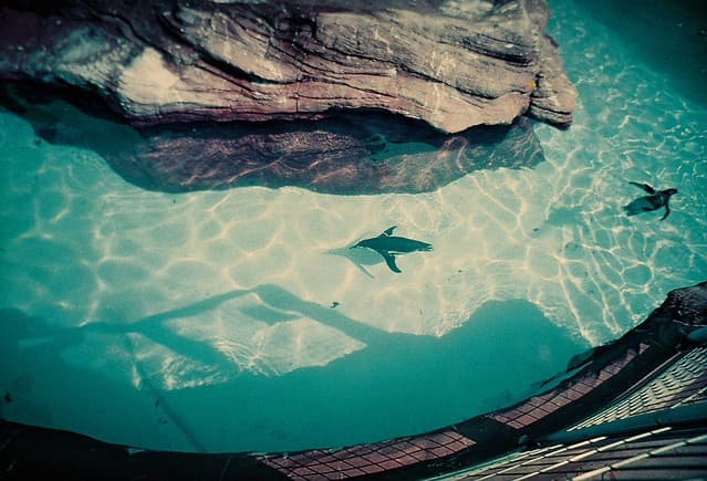 Community photo 7 shot on LomoChrome Purple